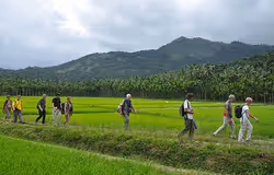 ⁠Nature Trail walk activity